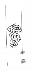 Wasserzeichen DE8310-Mc6_365