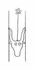 Wasserzeichen DE8310-Mc59_IV