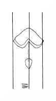 Wasserzeichen DE8310-Mc106_246