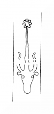 DE8310-Mc111_153 - Typ:0 - ID: 104583 - Eintrag Nr.: 131 Wasserzeichen DE8310-Mc111_153