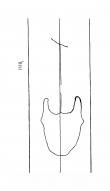 Wasserzeichen DE8310-Mc115_120