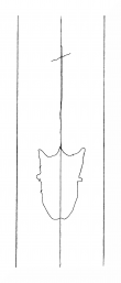 Wasserzeichen DE8310-Mc115_21