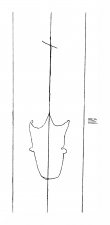 Wasserzeichen DE8310-Mc115_20