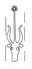 DE4860-Ms1224_2 - Typ:0 - ID: 104906 - Eintrag Nr.: 4 Wasserzeichen DE4860-Ms1224_2