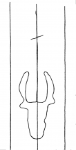 Wasserzeichen DE8310-Mc147_47