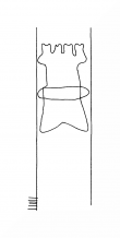 Wasserzeichen DE8310-Mc202_2