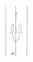 Wasserzeichen DE8310-Mc257_98