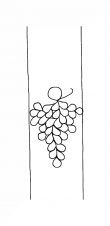 Wasserzeichen DE8310-Mc327_23