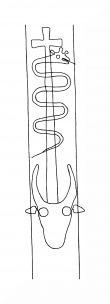 DE8310-Mc335_65 - Typ:0 - ID: 105438 - Eintrag Nr.: 36 Wasserzeichen DE8310-Mc335_65