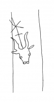 DE4860-Ms635_209 - Typ:0 - ID: 105578 - Eintrag Nr.: 8 Wasserzeichen DE4860-Ms635_209