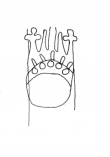 Wasserzeichen DE4860-Ms768_167