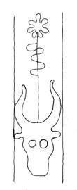 DE4860-Ms887_257 - Typ:0 - ID: 105867 - Eintrag Nr.: 2 Wasserzeichen DE4860-Ms887_257