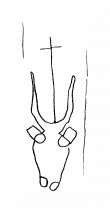DE8100-IncFol15491B11_999 - Typ:0 - ID: 106185 - Eintrag Nr.: 3 Wasserzeichen DE8100-IncFol15491B11_999