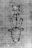 Wasserzeichen DE5580-2Incca1882-3_CC7