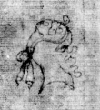 DE5580-2Incca1882-4_z10 - Typ:0 - ID: 106619 - Eintrag Nr.: 47 Wasserzeichen DE5580-2Incca1882-4_z10