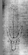 DE5580-2Incca1882-4_n1 - Typ:0 - ID: 106647 - Eintrag Nr.: 61 Wasserzeichen DE5580-2Incca1882-4_n1