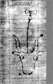 Wasserzeichen DE5580-2Incca1882-4_g2