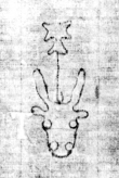 Wasserzeichen DE5580-2Incca1948b1_a9