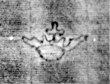 DE5580-2Incca2869_a1 - Typ:0 - ID: 106974 - Eintrag Nr.: 137 Wasserzeichen DE5580-2Incca2869_a1