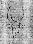 DE5580-2Incca2869_f3 - Typ:0 - ID: 106982 - Eintrag Nr.: 186 Wasserzeichen DE5580-2Incca2869_f3