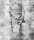 DE5580-2Incca2887a2_Em2 - Typ:0 - ID: 107406 - Eintrag Nr.: 190 Wasserzeichen DE5580-2Incca2887a2_Em2