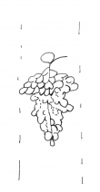 DE4860-Ms1048_hds - Typ:0 - ID: 107648 - Eintrag Nr.: 3 Wasserzeichen DE4860-Ms1048_hds