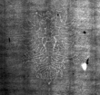 DE4815-DNB-L-WZ-0000106 - Typ:1 - ID: 108249 - Eintrag Nr.: 27 Wasserzeichen DE4815-DNB-L-WZ-0000106