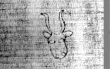 DE5580-2Incca1261_1l4 - Typ:0 - ID: 108280 - Eintrag Nr.: 193 Wasserzeichen DE5580-2Incca1261_1l4