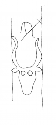 DE4860-Ms961_147 - Typ:0 - ID: 108323 - Eintrag Nr.: 7 Wasserzeichen DE4860-Ms961_147