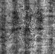 DE4815-DNB-L-WZ-0000151 - Typ:1 - ID: 108414 - Eintrag Nr.: 66 Wasserzeichen DE4815-DNB-L-WZ-0000151