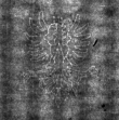 DE4815-DNB-L-WZ-0000164 - Typ:1 - ID: 108434 - Eintrag Nr.: 79 Wasserzeichen DE4815-DNB-L-WZ-0000164