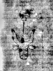 DE5580-2Incca3287_C6 - Typ:0 - ID: 109099 - Eintrag Nr.: 10 Wasserzeichen DE5580-2Incca3287_C6