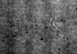 DE4815-DNB-L-WZ-0000472 - Typ:1 - ID: 109659 - Eintrag Nr.: 9 Wasserzeichen DE4815-DNB-L-WZ-0000472