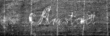 DE4815-DNB-L-WZ-0000547 - Typ:1 - ID: 110100 - Eintrag Nr.: 7 Wasserzeichen DE4815-DNB-L-WZ-0000547