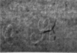 DE4815-DNB-L-WZ-0000608 - Typ:1 - ID: 110184 - Eintrag Nr.: 64 Wasserzeichen DE4815-DNB-L-WZ-0000608