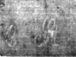 DE4815-DNB-L-WZ-0000619 - Typ:1 - ID: 110230 - Eintrag Nr.: 78 Wasserzeichen DE4815-DNB-L-WZ-0000619