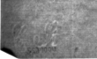 DE4815-DNB-L-WZ-0000622 - Typ:1 - ID: 110237 - Eintrag Nr.: 84 Wasserzeichen DE4815-DNB-L-WZ-0000622