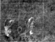 DE4815-DNB-L-WZ-0000624 - Typ:1 - ID: 110244 - Eintrag Nr.: 87 Wasserzeichen DE4815-DNB-L-WZ-0000624