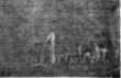 DE4815-DNB-L-WZ-0000625-wm1 - Typ:1 - ID: 110250 - Eintrag Nr.: 90 Wasserzeichen DE4815-DNB-L-WZ-0000625-wm1