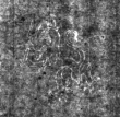 DE4815-DNB-L-WZ-0000004-wm1 - Typ:1 - ID: 110516 - Eintrag Nr.: 7 Wasserzeichen DE4815-DNB-L-WZ-0000004-wm1