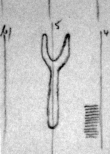 Wasserzeichen DE4815-DNB-L-WZ-0000815-wm1