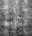 DE4815-DNB-L-WZ-0000849 - Typ:1 - ID: 110939 - Eintrag Nr.: 11 Wasserzeichen DE4815-DNB-L-WZ-0000849