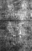 DE4815-DNB-L-WZ-0000890 - Typ:1 - ID: 111127 - Eintrag Nr.: 37 Wasserzeichen DE4815-DNB-L-WZ-0000890