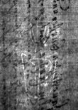 DE4815-DNB-L-WZ-0000901 - Typ:1 - ID: 111189 - Eintrag Nr.: 45 Wasserzeichen DE4815-DNB-L-WZ-0000901