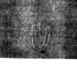 DE4815-DNB-L-WZ-0000924 - Typ:1 - ID: 111352 - Eintrag Nr.: 58 Wasserzeichen DE4815-DNB-L-WZ-0000924