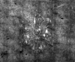 DE4815-DNB-L-WZ-0000704 - Typ:1 - ID: 111544 - Eintrag Nr.: 23 Wasserzeichen DE4815-DNB-L-WZ-0000704