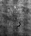DE4815-DNB-L-WZ-0000709 - Typ:1 - ID: 111564 - Eintrag Nr.: 28 Wasserzeichen DE4815-DNB-L-WZ-0000709