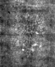 DE4815-DNB-L-WZ-0000723 - Typ:1 - ID: 111784 - Eintrag Nr.: 42 Wasserzeichen DE4815-DNB-L-WZ-0000723