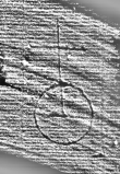 DE0960-Inc767.5_48 - Typ:0 - ID: 111960 - Eintrag Nr.: 67 Wasserzeichen DE0960-Inc767.5_48