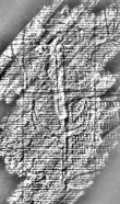 Wasserzeichen DE0960-l.i.r.f.134_15